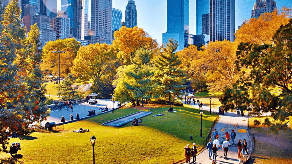 Central Park, o grande oásis verde de Nova York. Visite locais emblemáticos como o Bethesda Terrace, Strawberry Fields e o Central Park Zoo. Então, alugue uma bicicleta ou faça um passeio de carruagem puxada por cavalos para ter uma perspectiva única do parque.