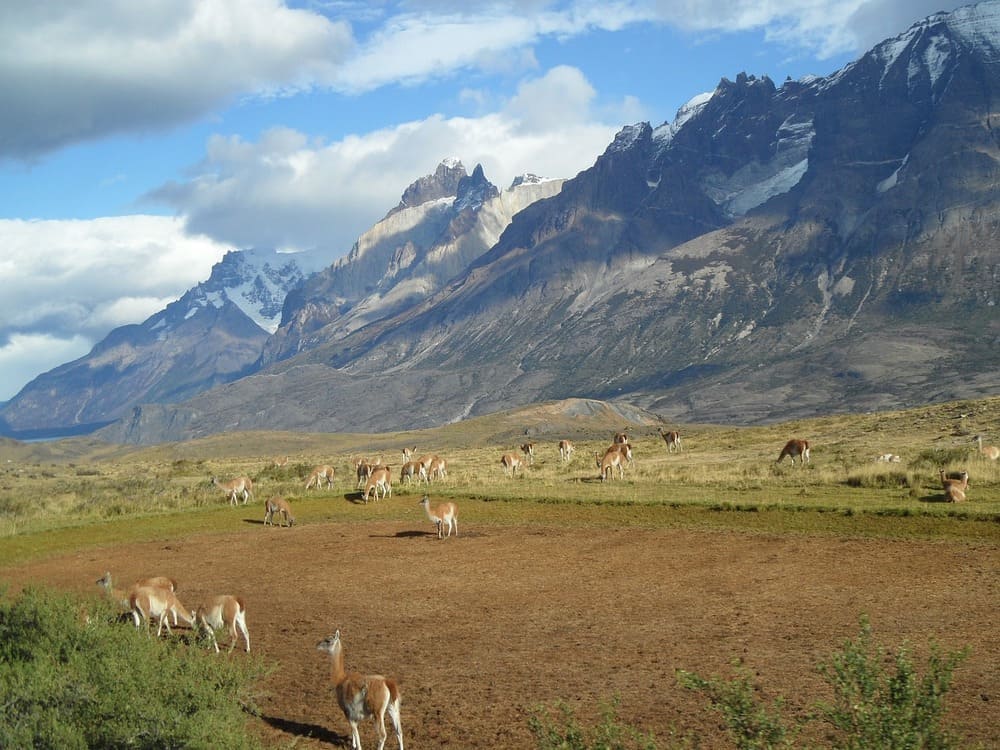 Patagônia oferece opções para seus visitantes, no inverno e no verão