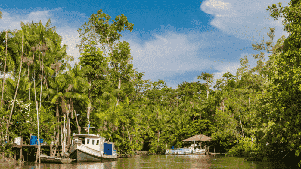 Em Belém, busque explorar as encantadoras ilhas que cercam Belém do Pará, oferecendo, assim, uma rica combinação de natureza, cultura e gastronomia. Prepare-se para um dia cheio de aventuras e belezas naturais!