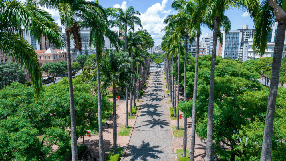 A Praça da Liberdade. É aqui que a magia de BH se revela! A praça é cercada por lindos edifícios e é o ponto de partida ideal para o Circuito Cultural, que abriga museus incríveis. O Museu de Artes e Ofícios é um passeio obrigatório.