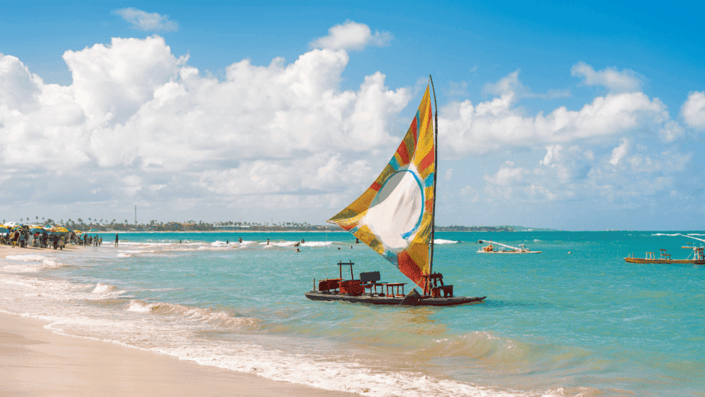 E no seu quinto dia de viagem, prepare-se para um passeio de barco que vai enriquecer sua experiência em Recife. Existem várias opções de passeios de catamarã pelos rios da cidade, permitindo, assim,  que você aprecie a vista de edifícios históricos e da natureza ao redor.