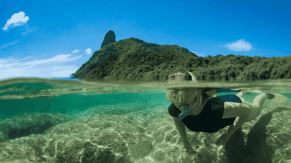 

As águas claras das praias brasileiras são ideais para o snorkeling e mergulho. Fernando de Noronha, com sua rica vida marinha, e a Praia do Espelho, na Bahia, por exemplo, são destinos populares para esses esportes.