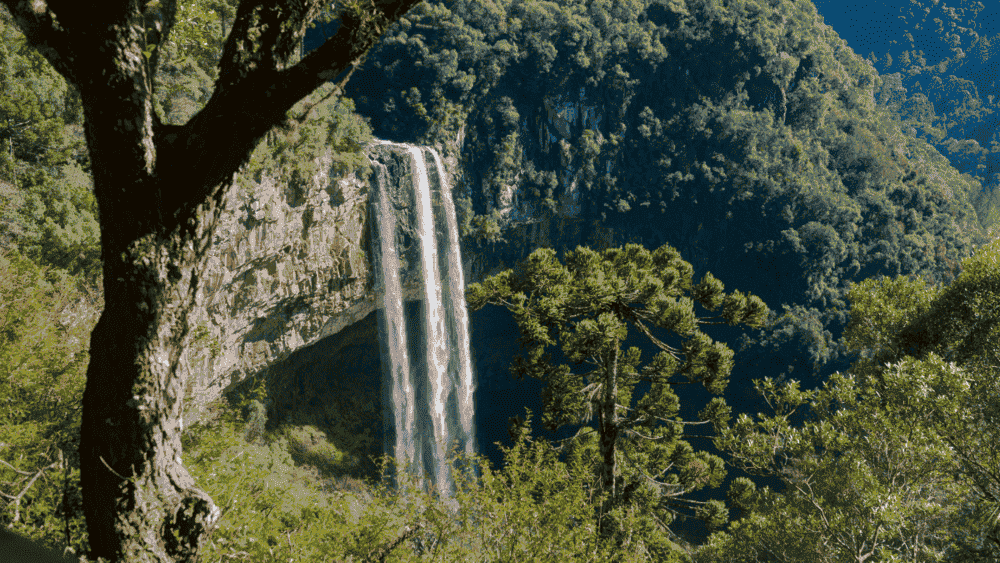 O Mirante da Cascata do Salto Ventoso oferece uma das vistas mais espetaculares da região. De lá, é possível apreciar a beleza da cascata e a vastidão da paisagem circundante. É um local que encanta fotógrafos e amantes da natureza, proporcionando um cenário perfeito para capturar memórias inesquecíveis.